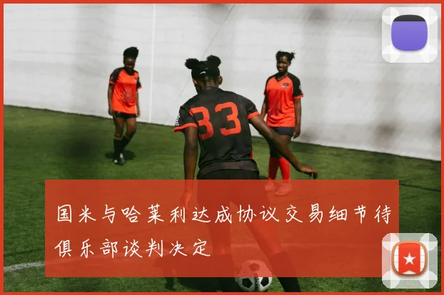 国米与哈莱利达成协议交易细节待俱乐部谈判决定