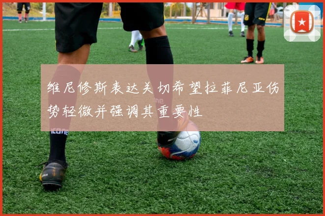 维尼修斯表达关切希望拉菲尼亚伤势轻微并强调其重要性