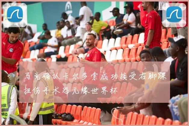 马竞确认卡尔多索成功接受右脚踝扭伤手术恐无缘世界杯